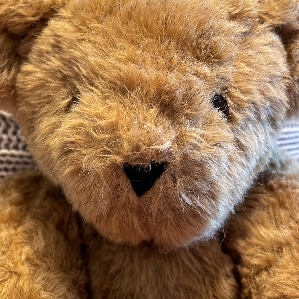 Vermont Teddy Bear - Picture 2 of 11